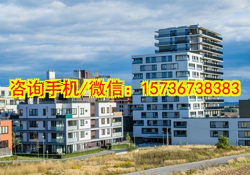 三沙代生海洋主题印花纺织